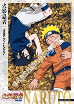 Chronicles2 CC-PTR-002 Naruto trading card