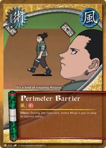 Perimeter Barrier card artwork