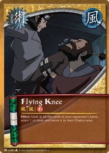 Flying Knee card artwork