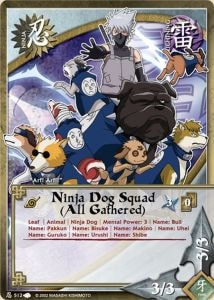 Ninja Dog Squad (All Gathered) card artwork
