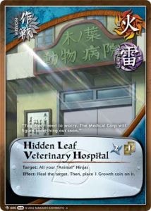 Hidden Leaf Veterinary Hospital card artwork