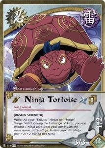 Ninja Tortoise card artwork