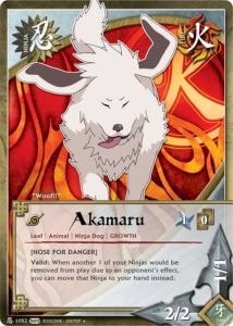 Akamaru card artwork