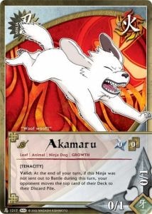 Akamaru card artwork
