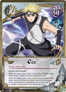 Shee card artwork