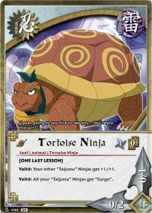 Tortoise Ninja card artwork