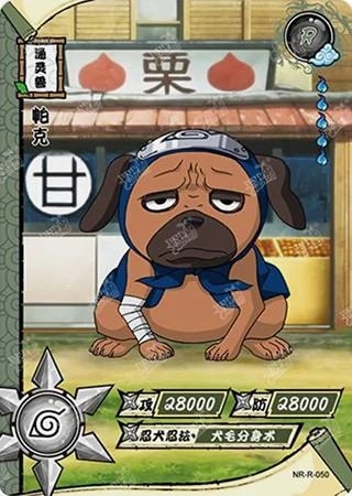 Pakkun card artwork