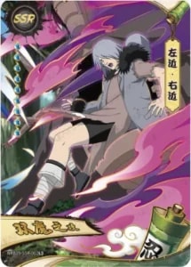 Sakon & Ukon card artwork