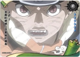 NRZ08-R-040 card artwork