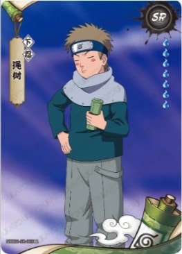 NRZ08-SR-003 card artwork