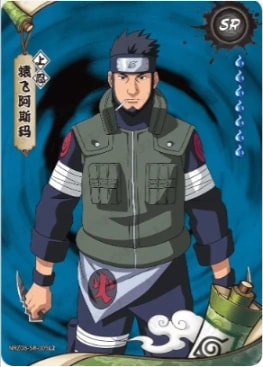 NRZ08-SR-005 card artwork