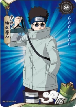 NRZ08-SR-017 card artwork