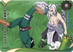 The Beast Within 4 NRB09-R-035 Naruto trading card