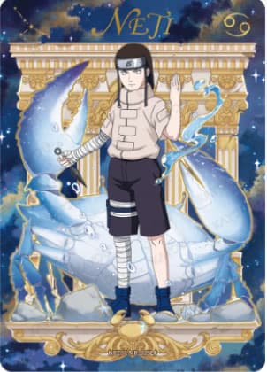 Neji Hyuga NRZ07-MR-005 Naruto trading card